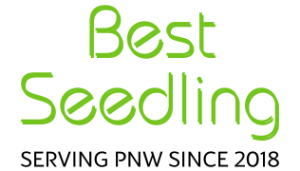 best seedlong llc logo png